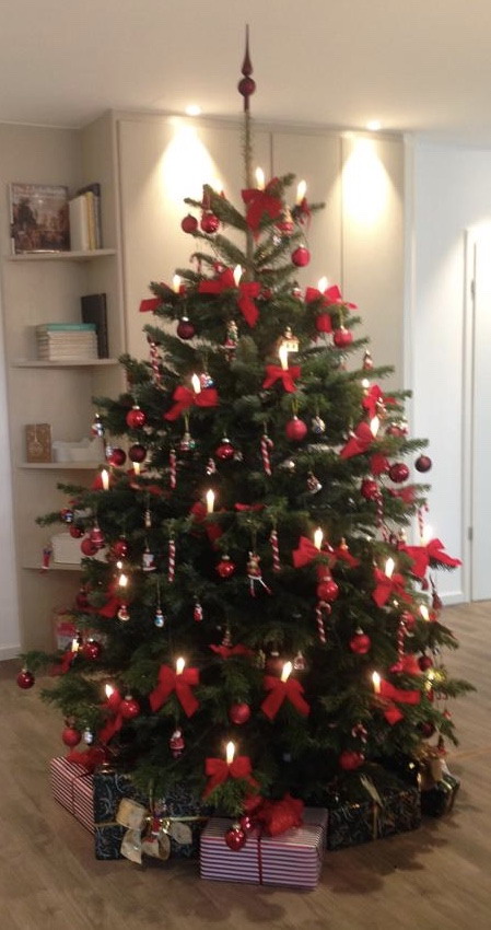 weihnachtsbaum